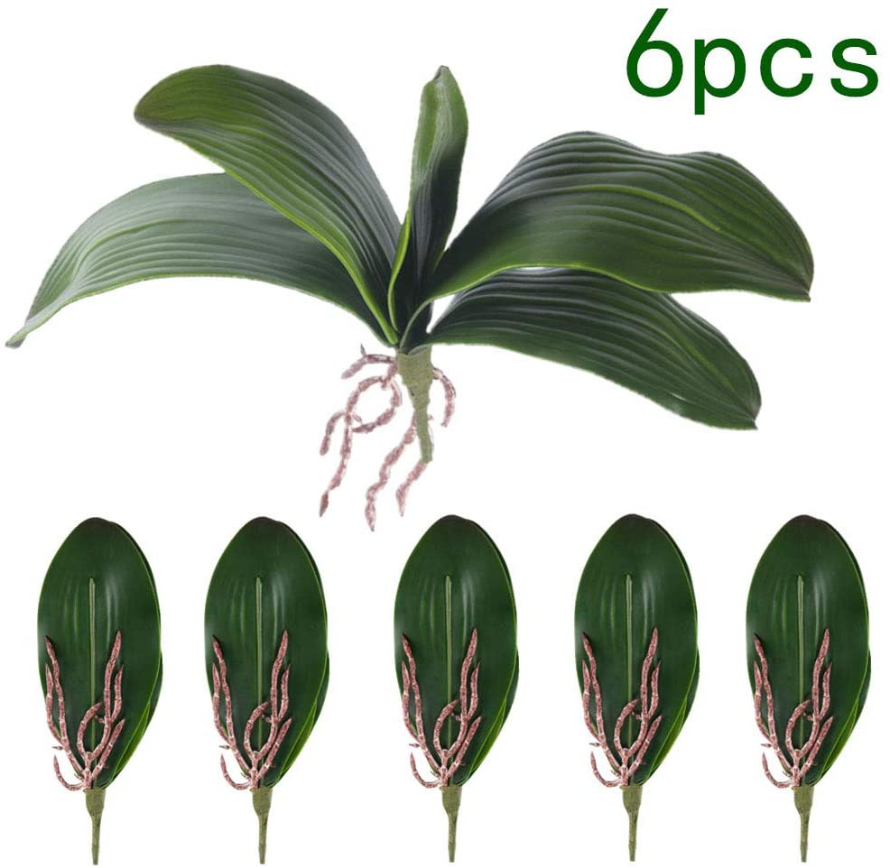 Phalaenopsis Orchids Leaves Ar - огляд і ціна Orchid Phalaenopsis