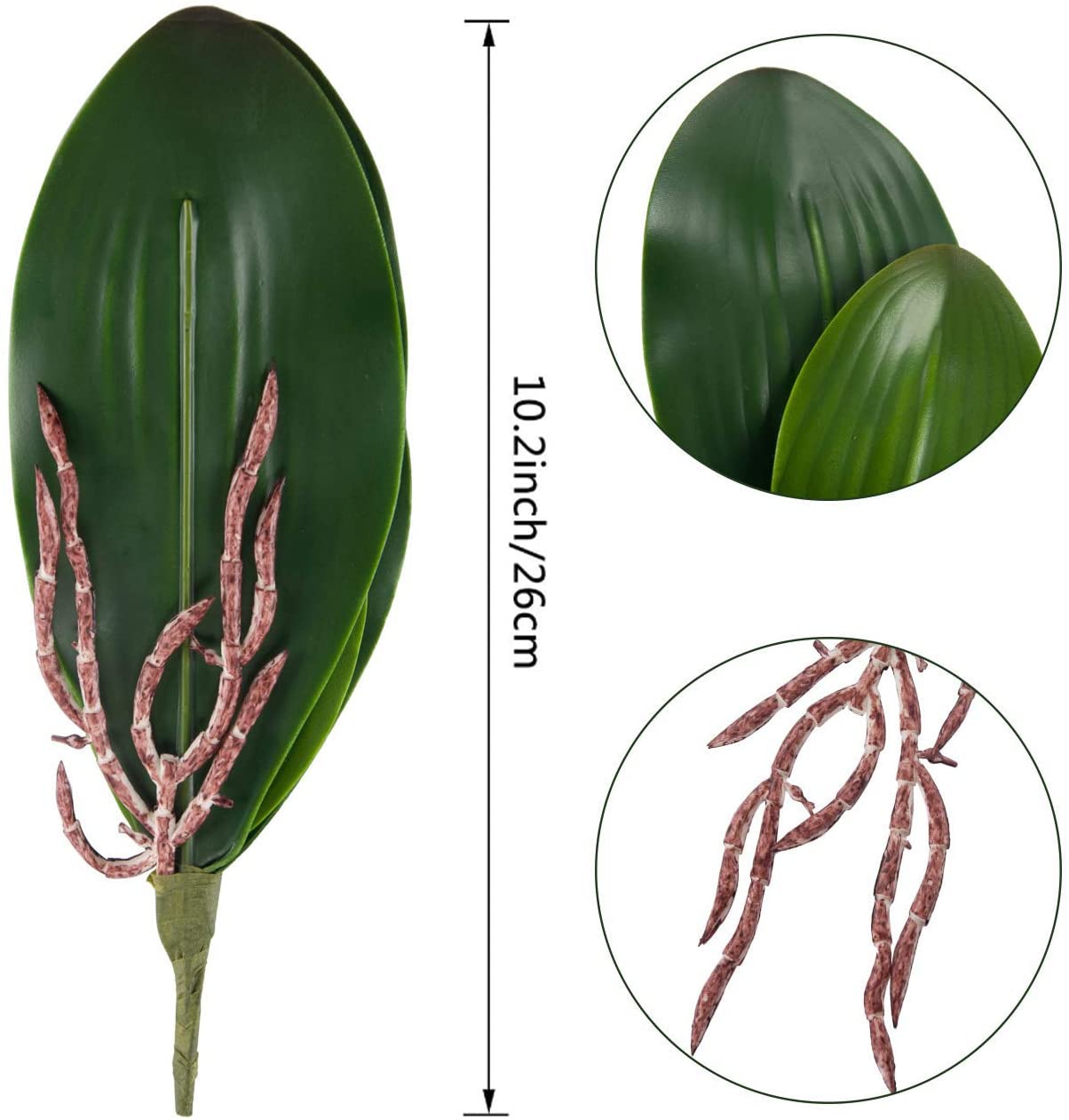 Phalaenopsis Orchids Leaves Ar - огляд і ціна Orchid Phalaenopsis