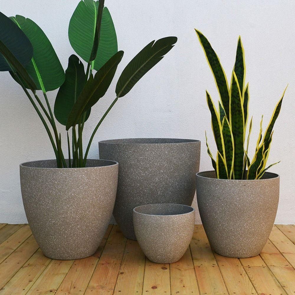 Frosted Imitation Stone Bonsai - огляд і ціна Snake Plant Ceramic