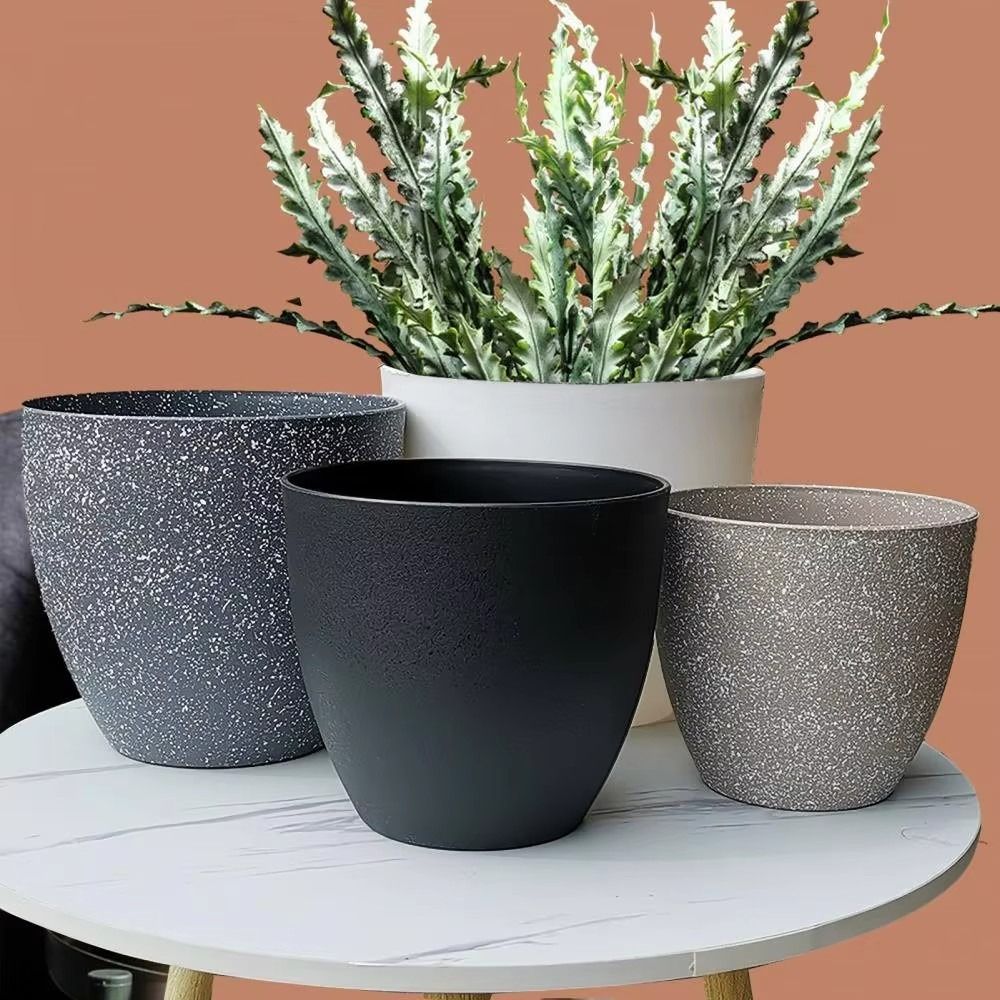 Frosted Imitation Stone Bonsai - огляд і ціна Snake Plant Ceramic