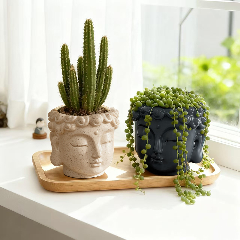 Zen Buddha Statue Resin Plante - огляд і ціна Snake Plant Ceramic