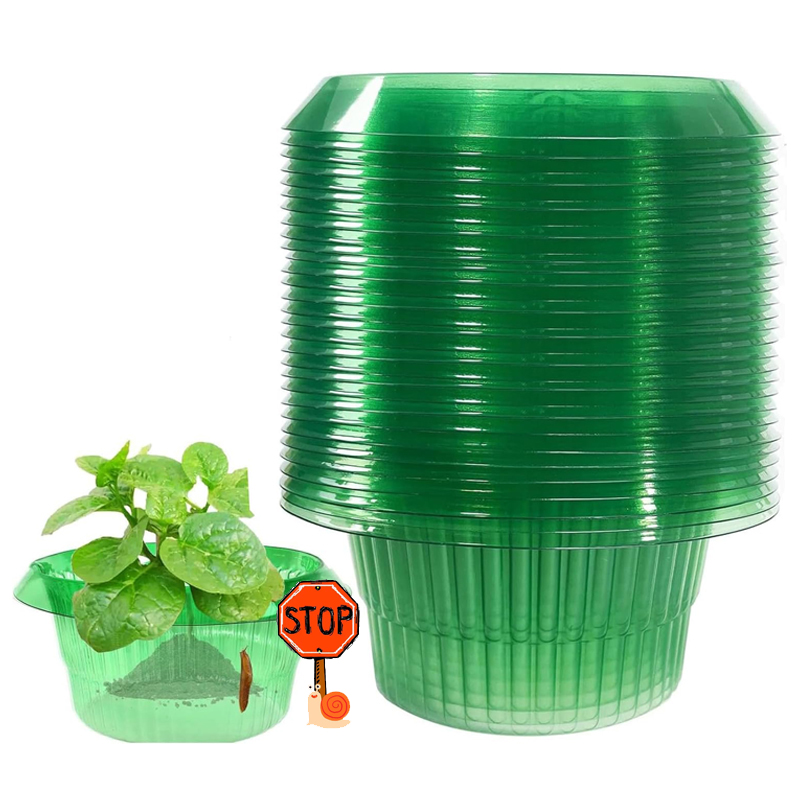5-25Pcs Plants Slug Protection - огляд і ціна Plant Parent Tools