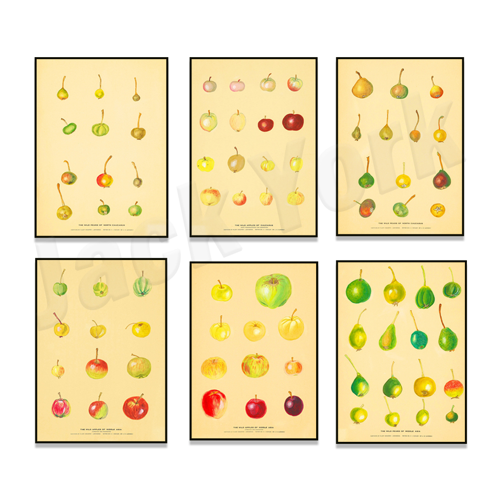Fruit Kitchen Poster Vintage P - огляд і ціна Plant Jackfruit