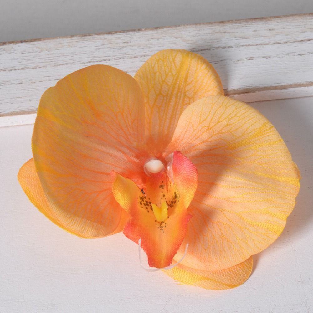 DIY Phalaenopsis Flower Head H - огляд і ціна Orchid Phalaenopsis