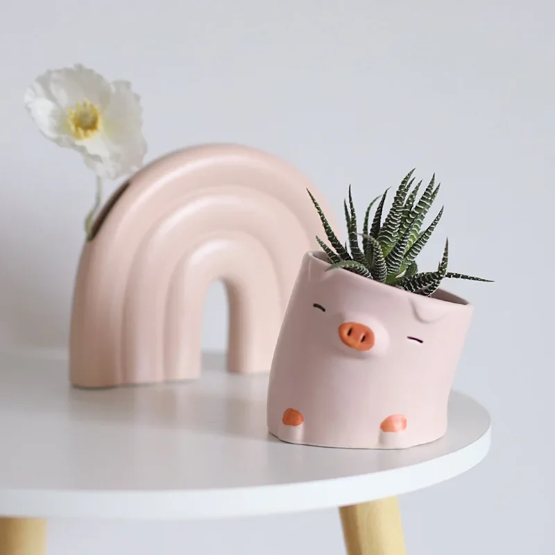 Cartoon Animals Succulent Plan - огляд і ціна Snake Plant Ceramic