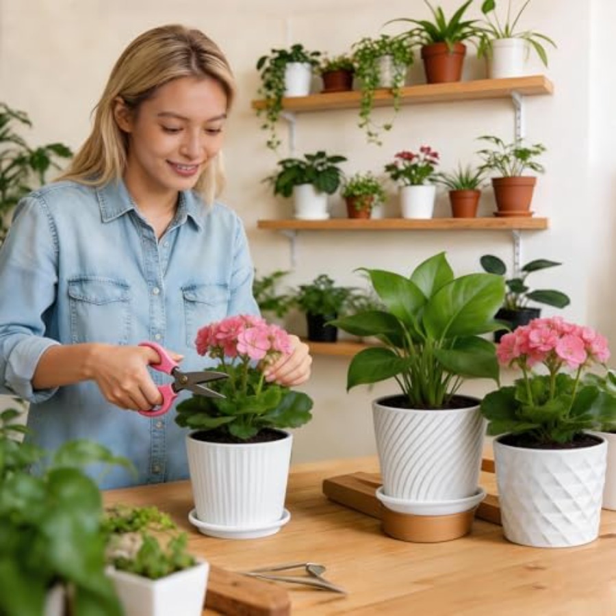 Plant Pots - Cylinder Ceramic  - огляд і ціна Snake Plant Ceramic
