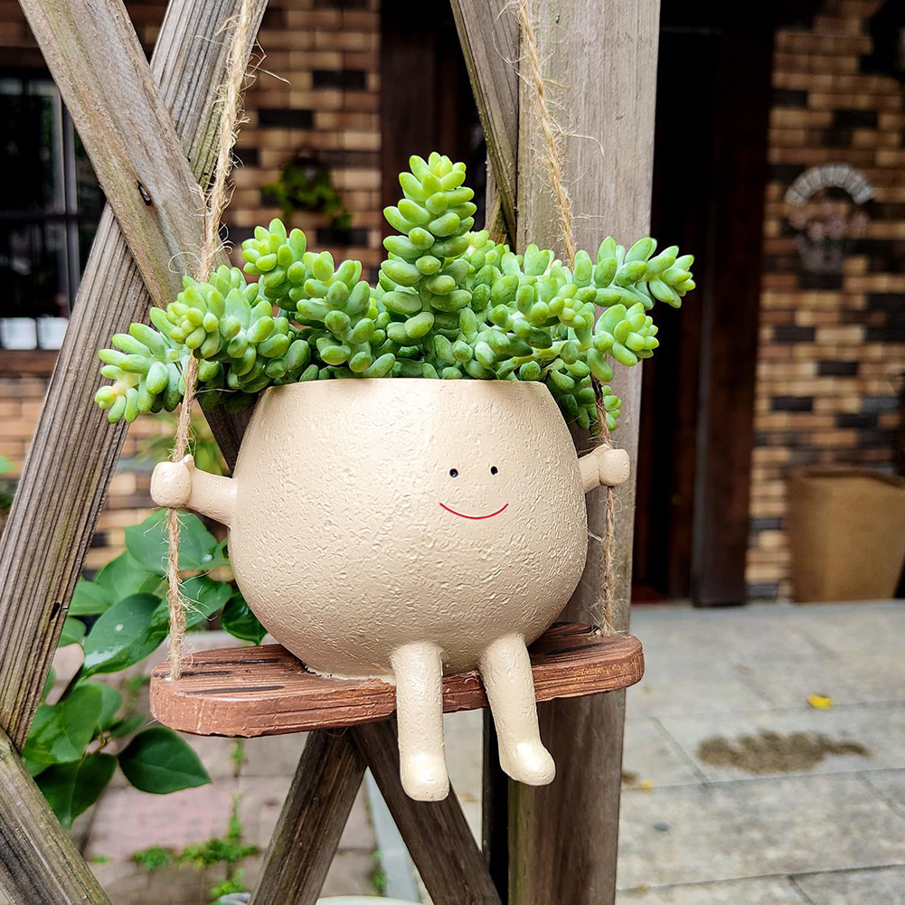 Swing Flower Container Resin C - огляд і ціна Snake Plant Ceramic