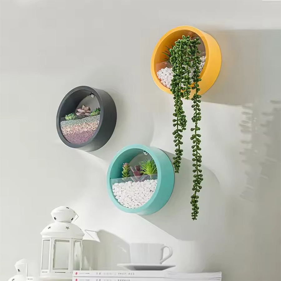 Round Wall Mount Planter Pot 3 - огляд і ціна Snake Plant Ceramic