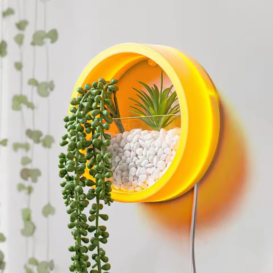 Round Wall Mount Planter Pot 3 - огляд і ціна Snake Plant Ceramic