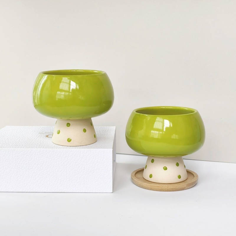 Stylish Minimalist Ceramic Flo - огляд і ціна Snake Plant Ceramic
