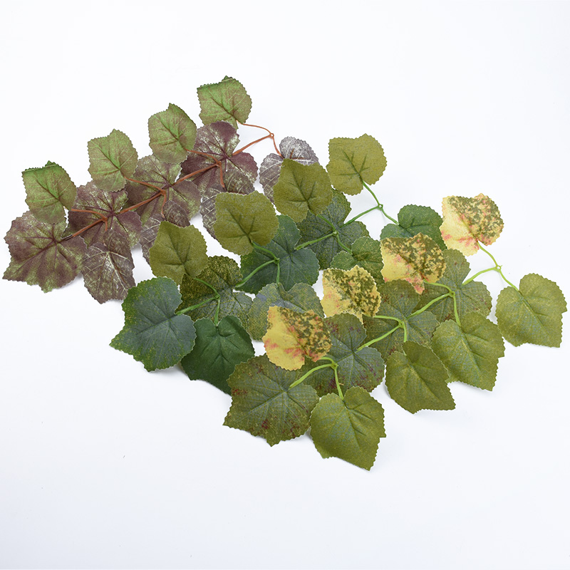 10PCS Silk Maple Leaf Diy Wedd - огляд і ціна Plant Parent Gifts