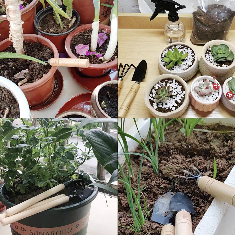 3PC/1Set Mini Gardening Tools  - огляд і ціна Plant Parent Tools