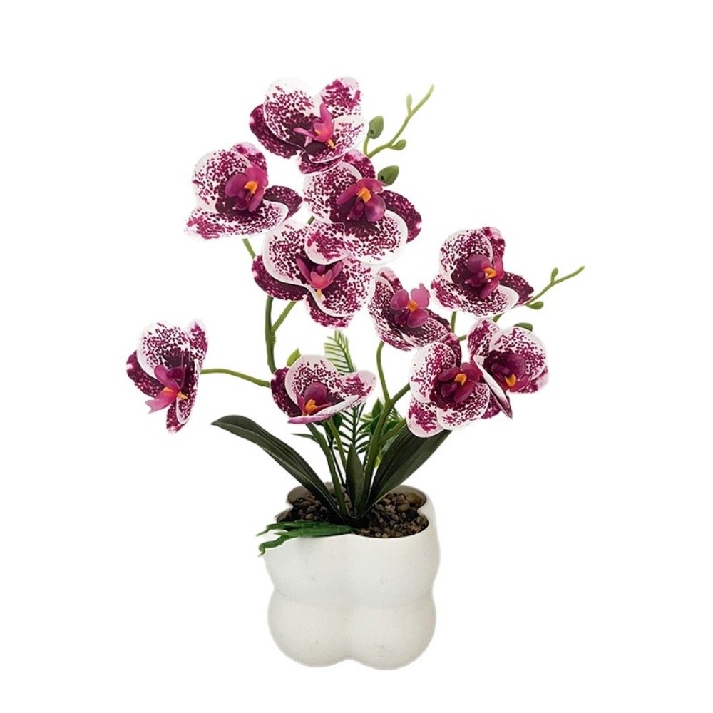 Multi-Bloom Simulated Butterfl - огляд і ціна Orchid Phalaenopsis