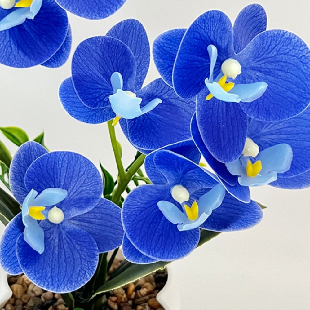 Multi-Bloom Simulated Butterfl - огляд і ціна Orchid Phalaenopsis