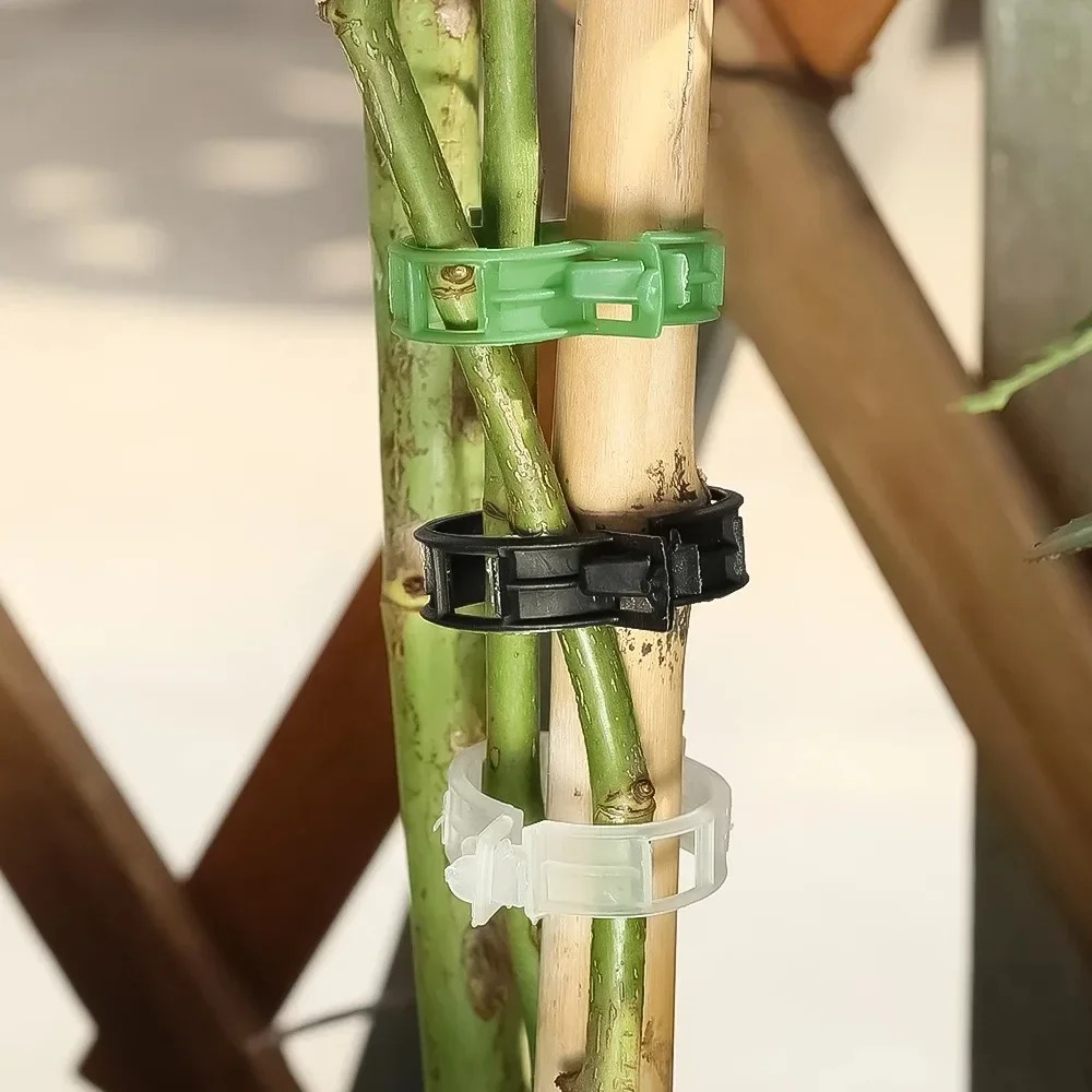100/10PCS Plant Support Clips  - огляд і ціна Plant Parent Tools