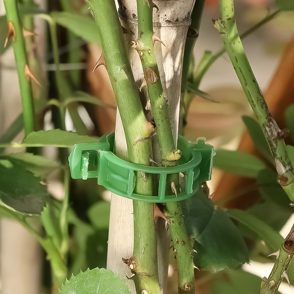 100/10PCS Plant Support Clips  - огляд і ціна Plant Parent Tools
