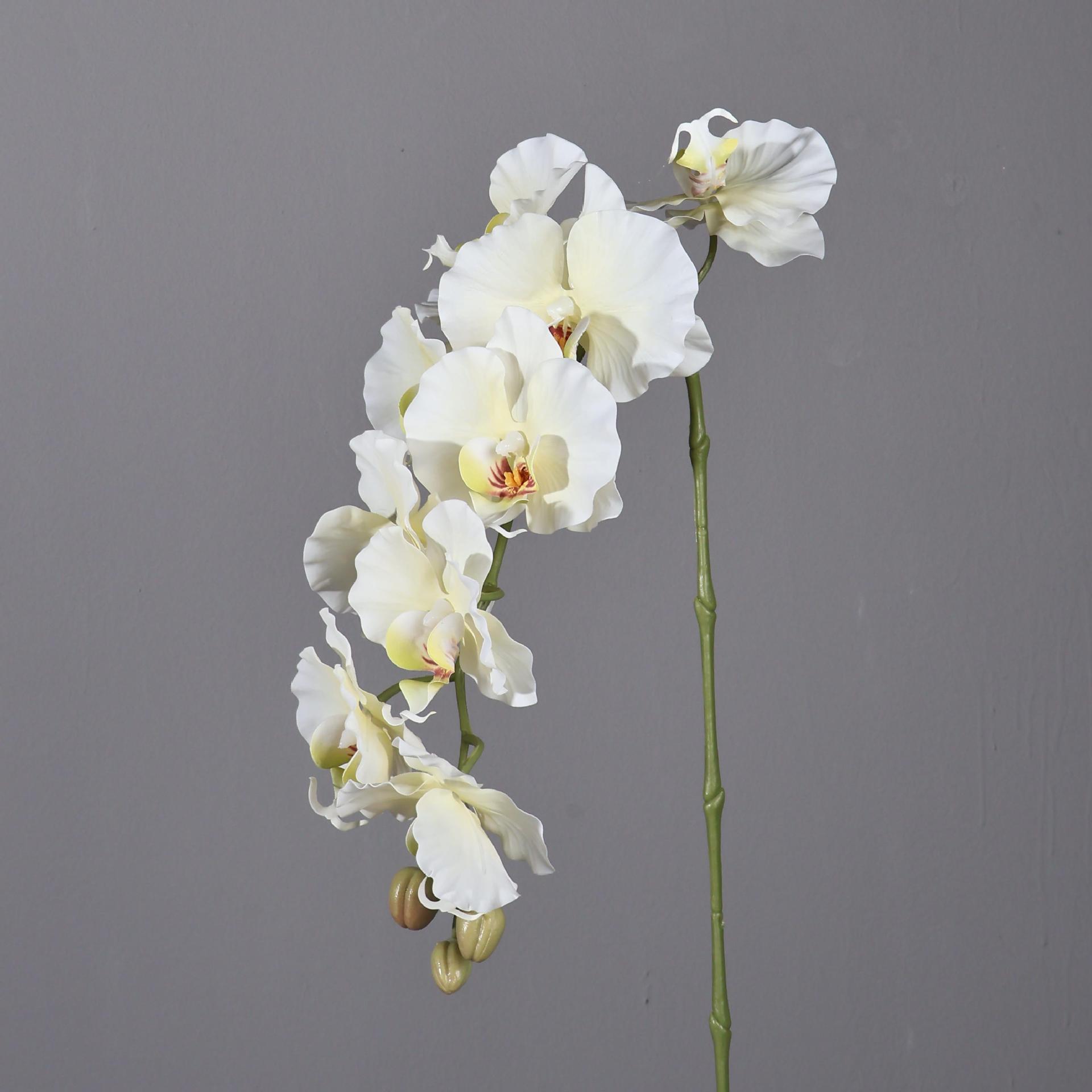 38.6 Inch 9 Heads Korean Style - огляд і ціна Orchid Phalaenopsis