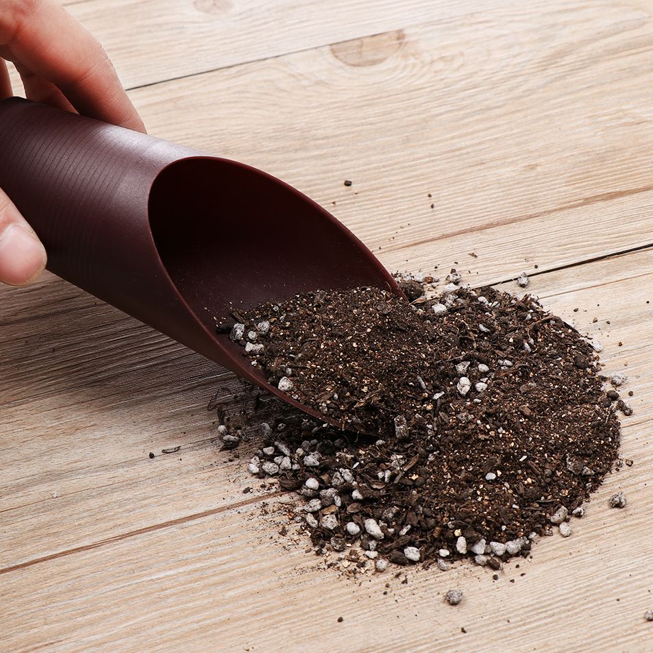 1PC Plastic Soil Shovel Cup Fo - огляд і ціна Plant Parent Tools